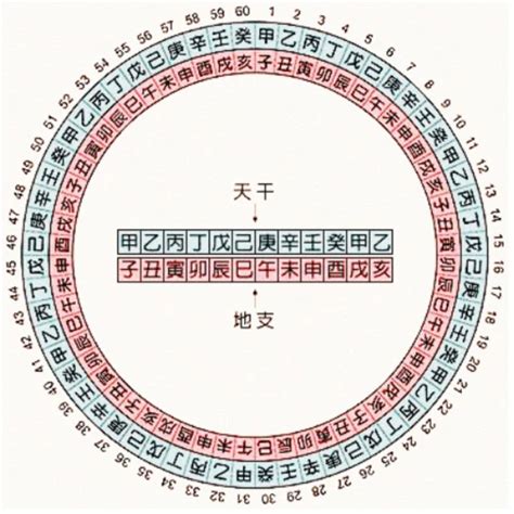 1989 天干地支|干支对照表